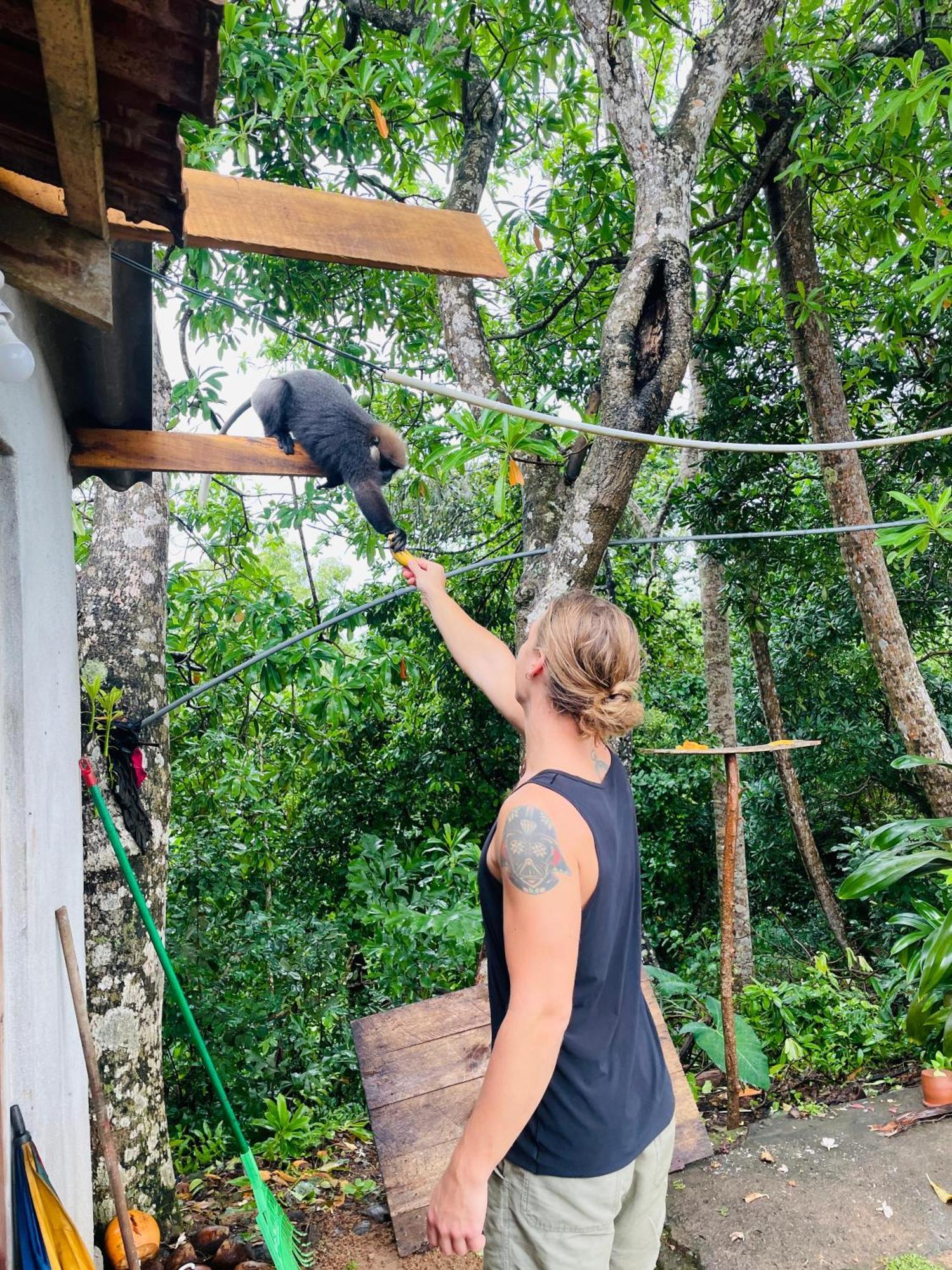 Sky Mountain Cafe With Seaview Weligama Exterior foto