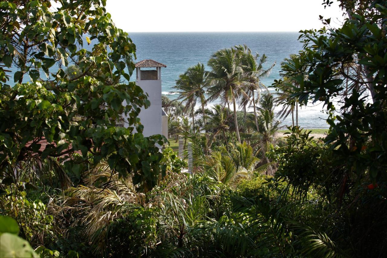 Sky Mountain Cafe With Seaview Weligama Exterior foto